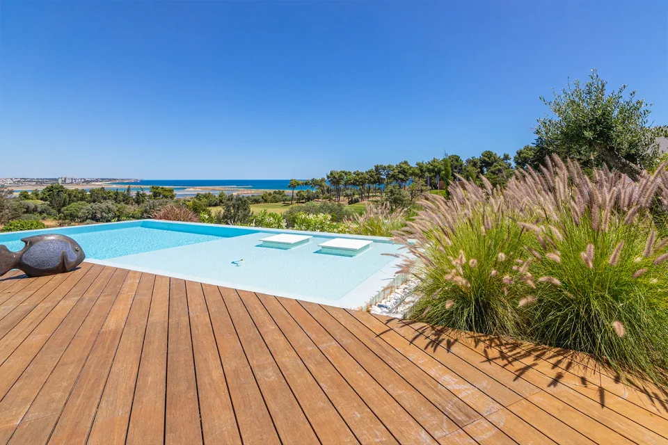 Destaque visual do website Detail Landscaping